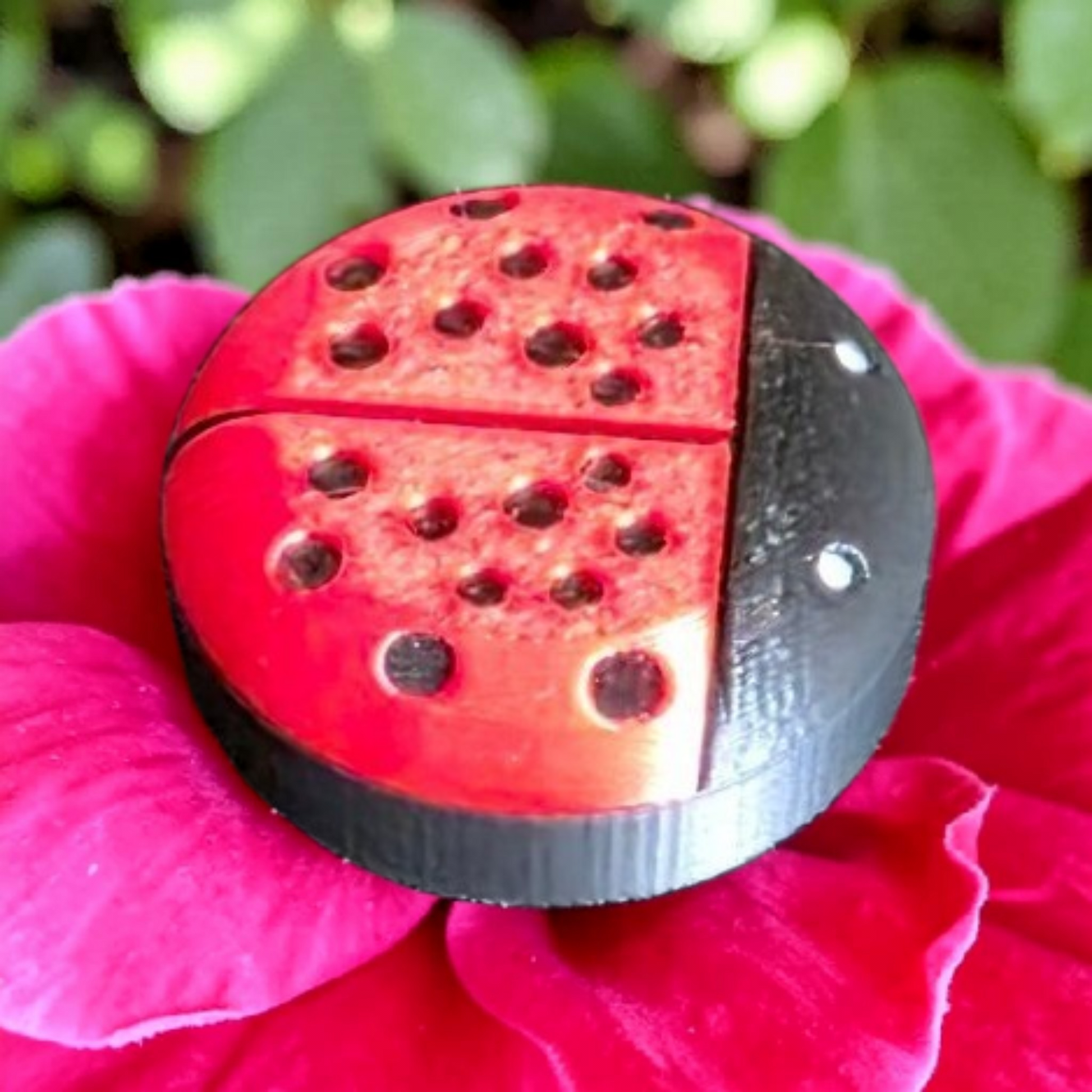 Nature: Ladybug CGM Cover compatible with Dexcom G7, Libre 2/2+, 3/3+ or Stelo