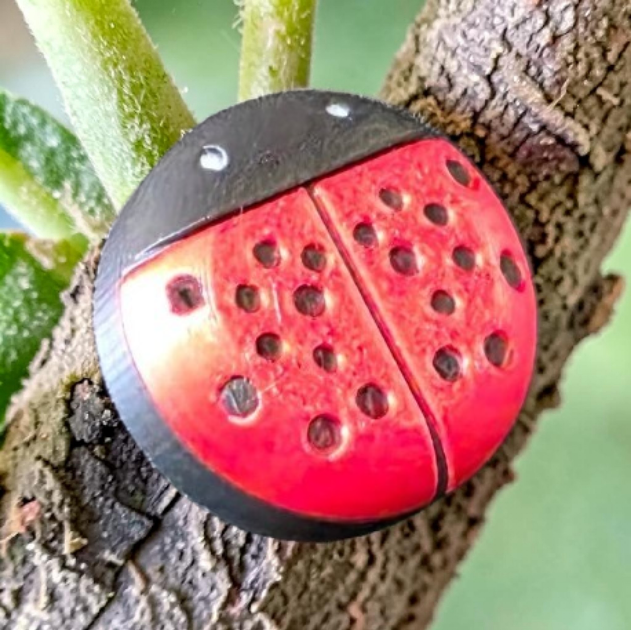 Nature: Ladybug CGM Cover compatible with Dexcom G7, Libre 2/2+, 3/3+ or Stelo