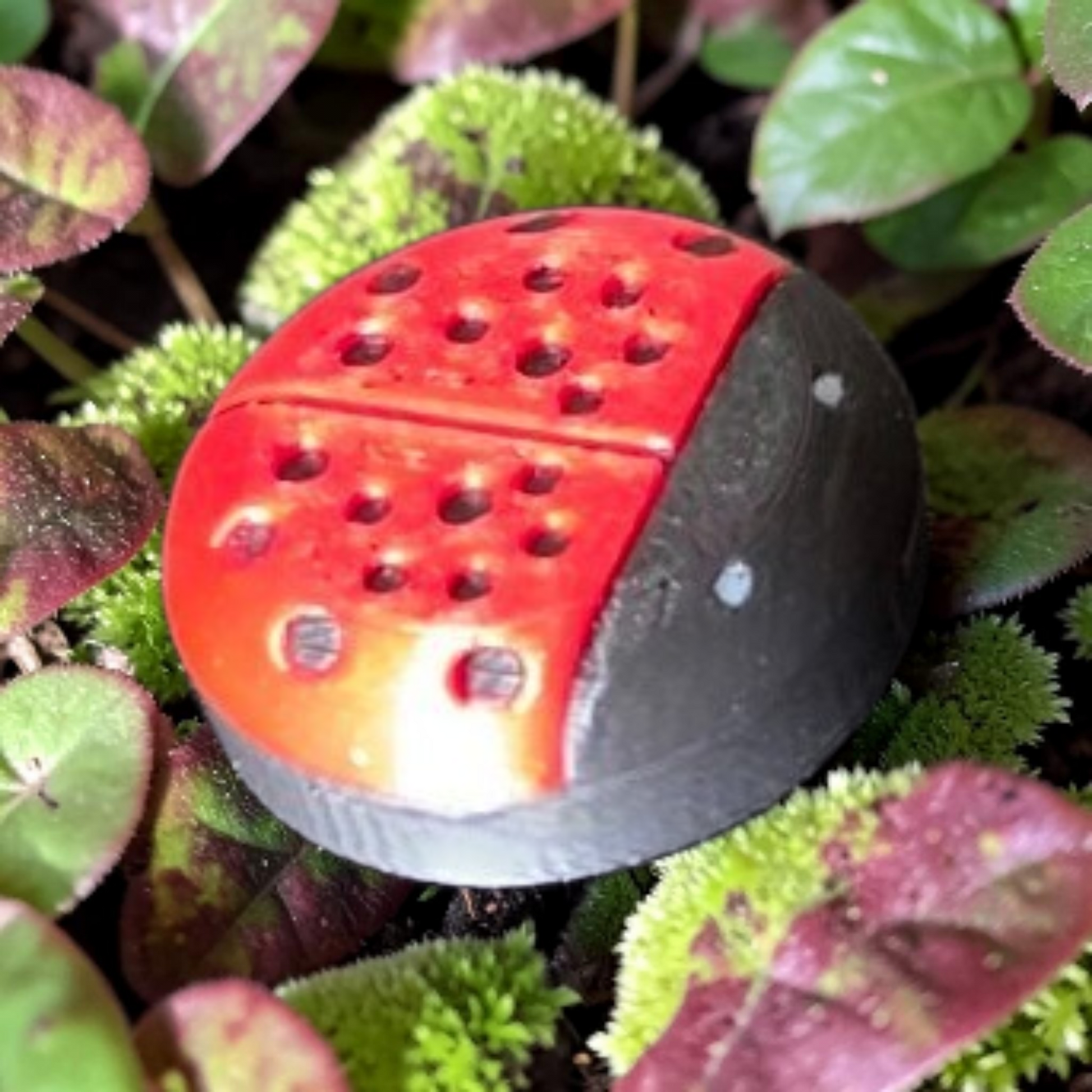 Nature: Ladybug CGM Cover compatible with Dexcom G7, Libre 2/2+, 3/3+ or Stelo