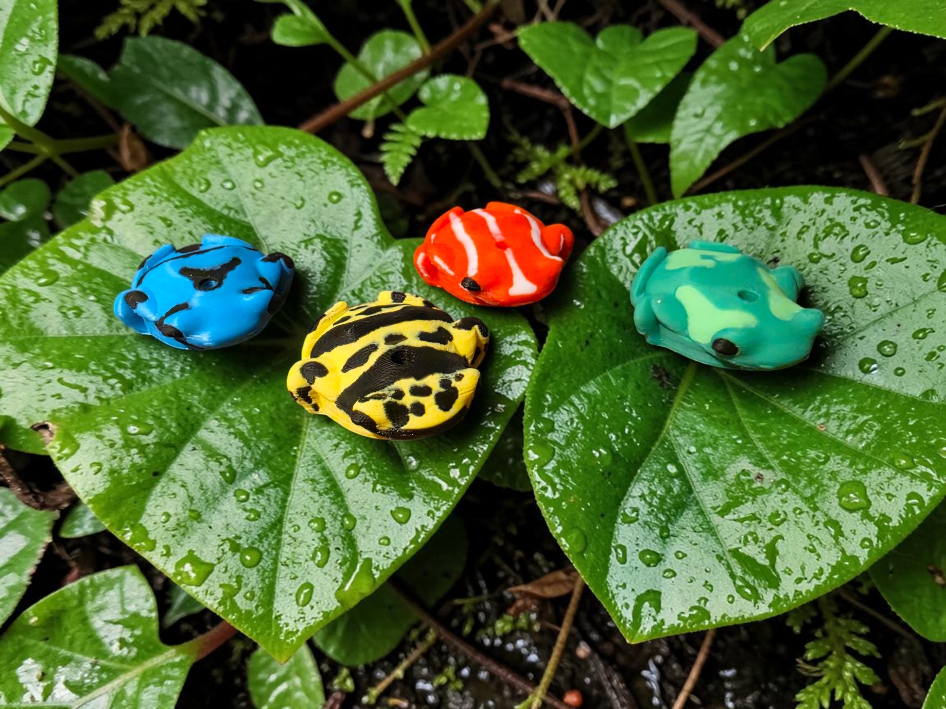 Poison Dart Frog Dexcom G7 Sensor Cover