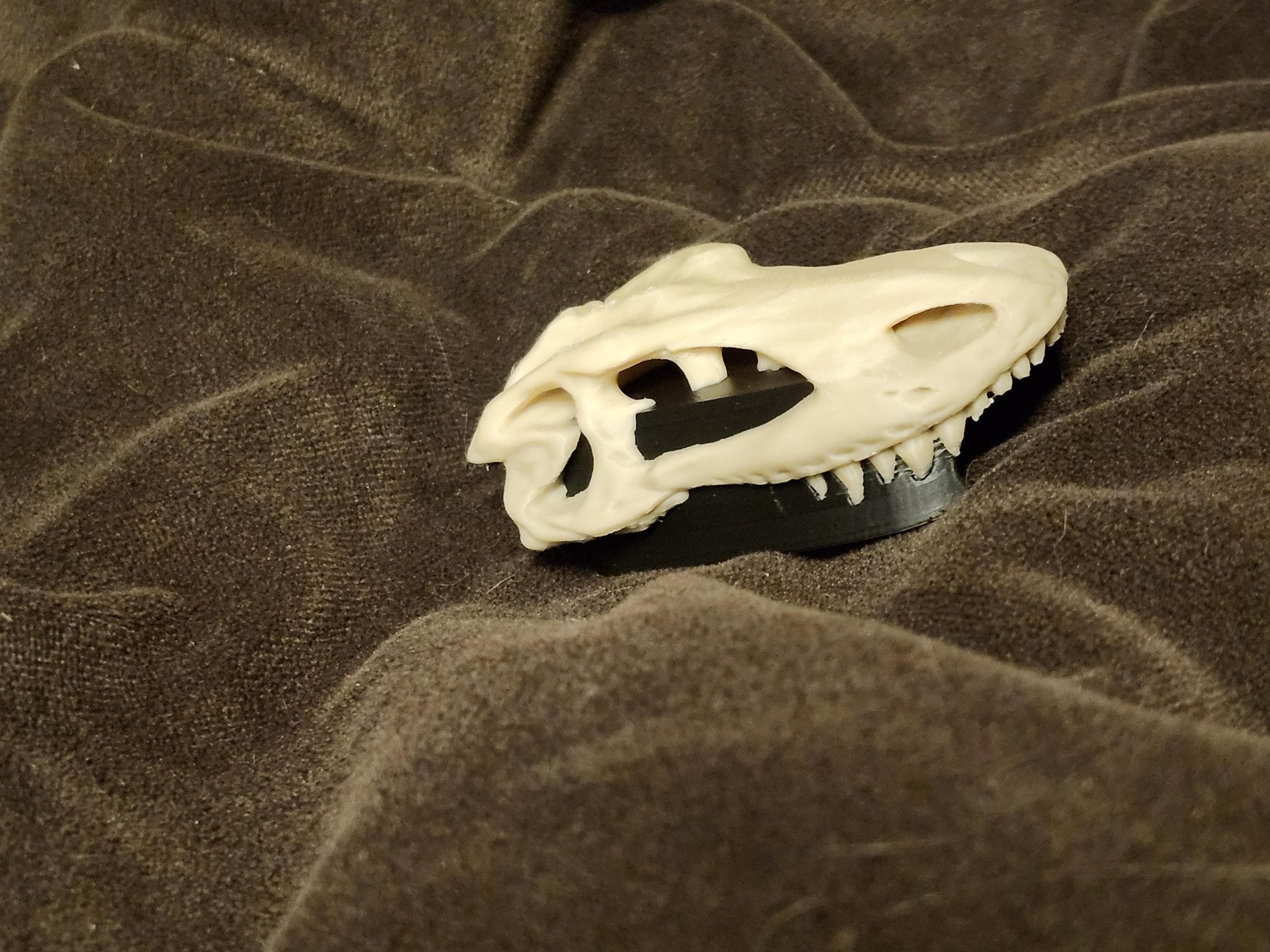 Dinosaurs - Dino Cover for the Tubeless Insulin Pod (DINO-OPC)