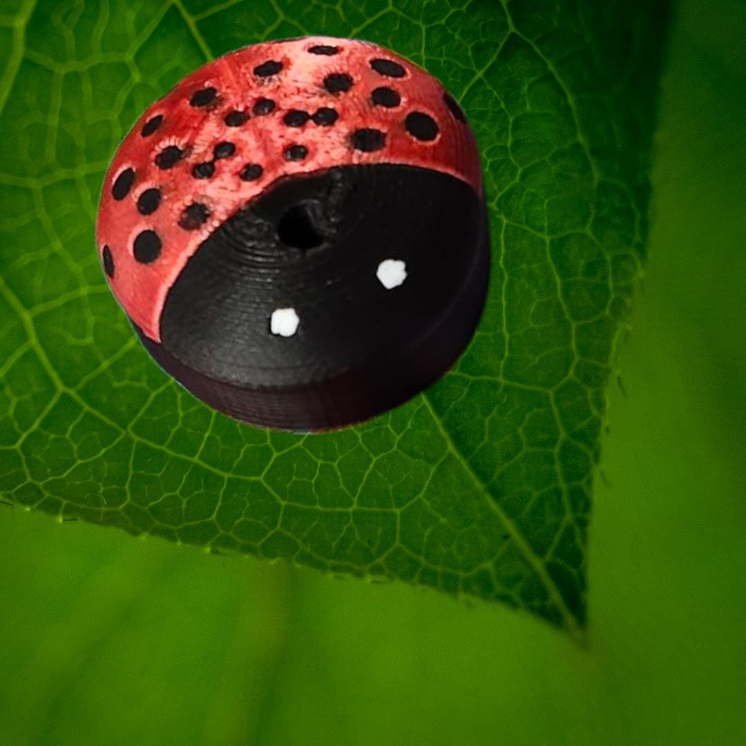 Nature: Ladybug CGM Cover compatible with Dexcom G7, Libre 2/2+, 3/3+ or Stelo