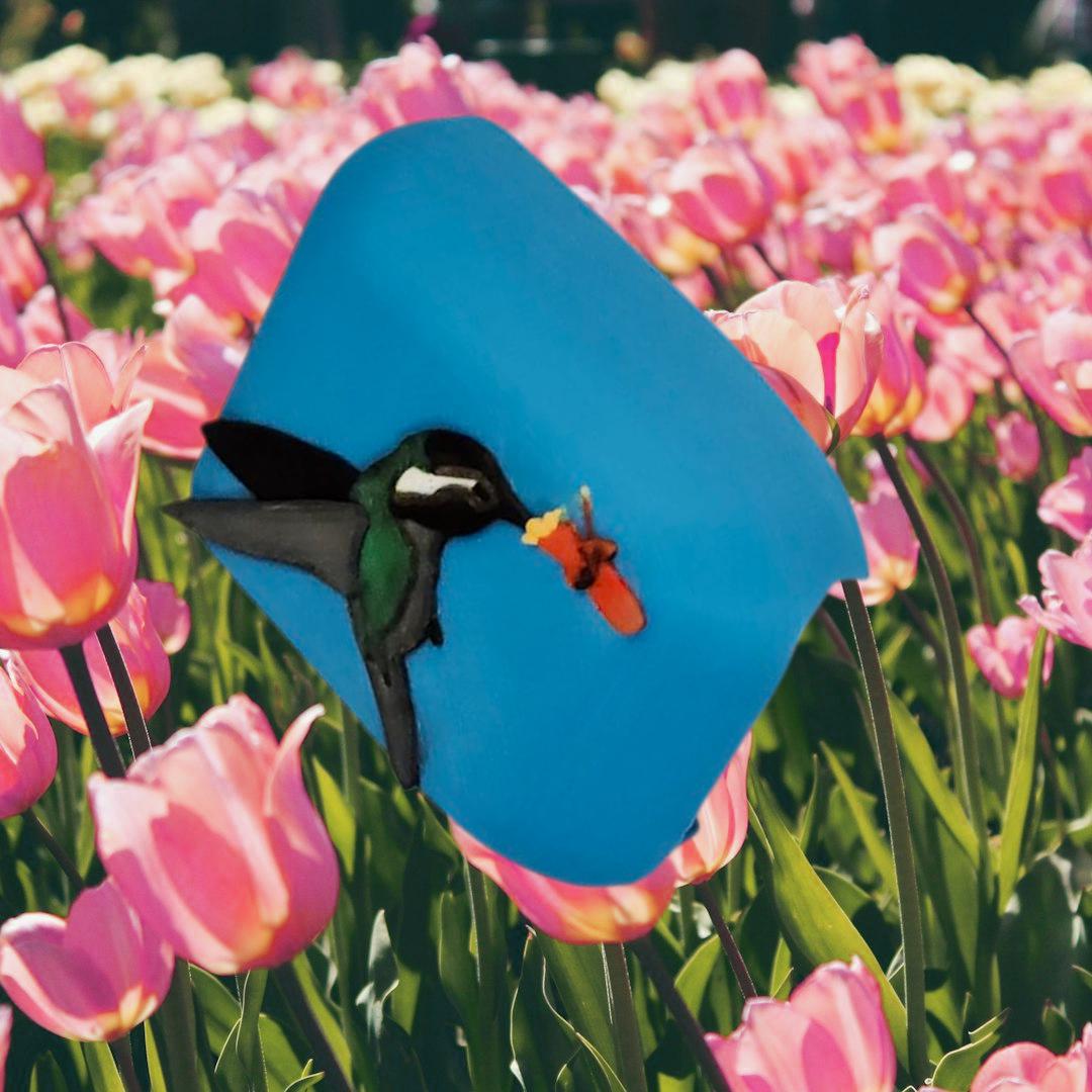 Hummingbird Cover compatible with Omnipod