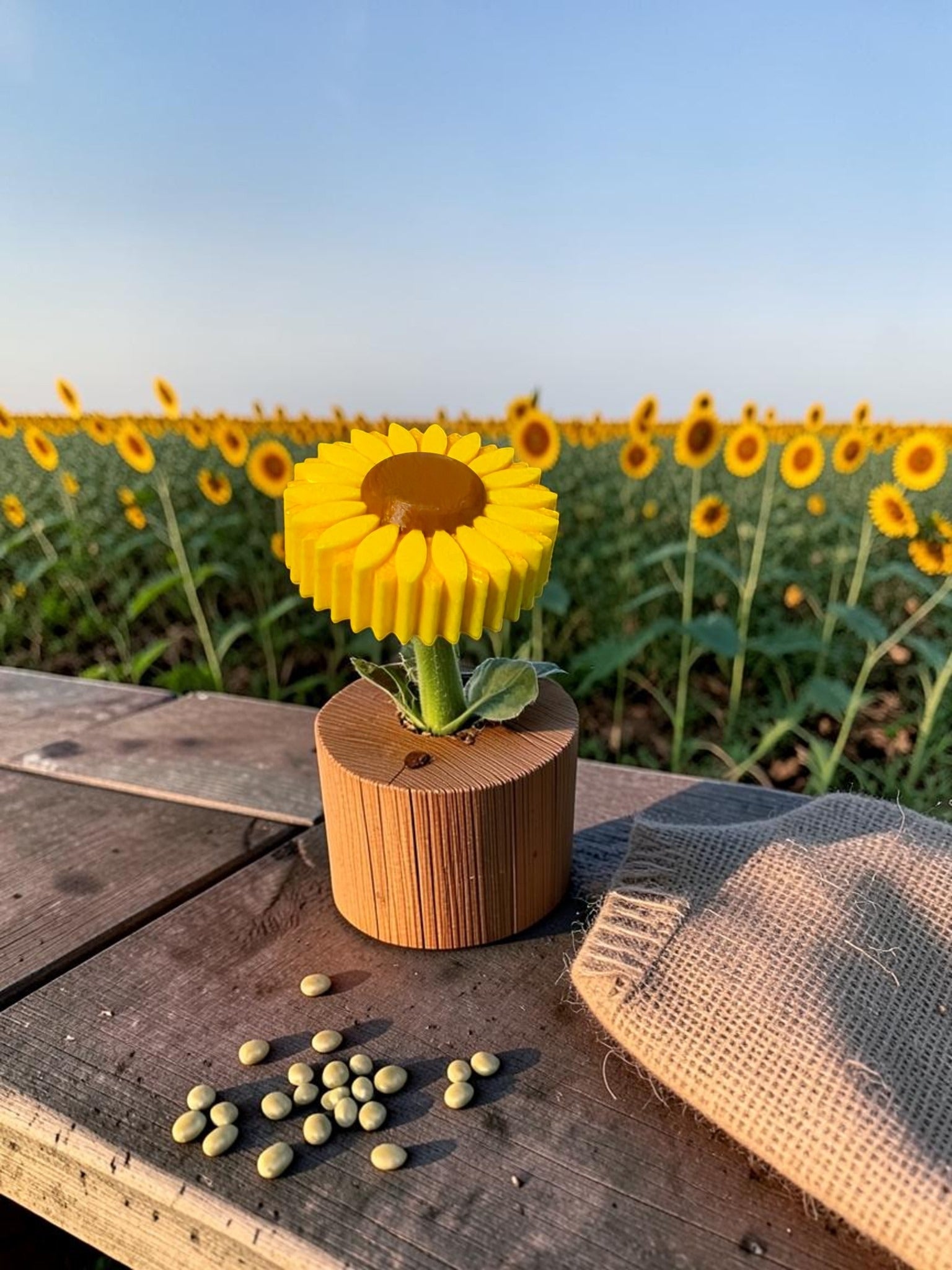 Sunflower Sensor Cover