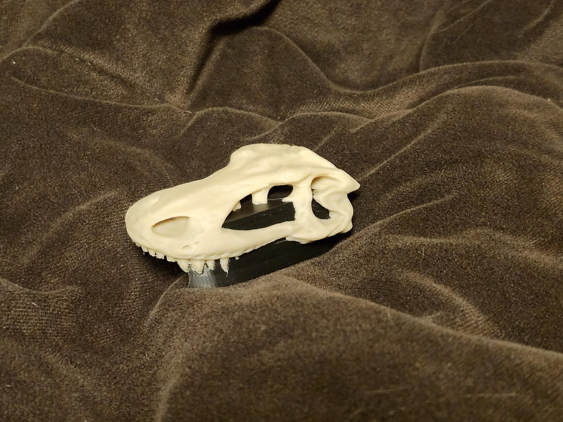 Dinosaurs - Dino Cover for the Tubeless Insulin Pod (DINO-OPC)