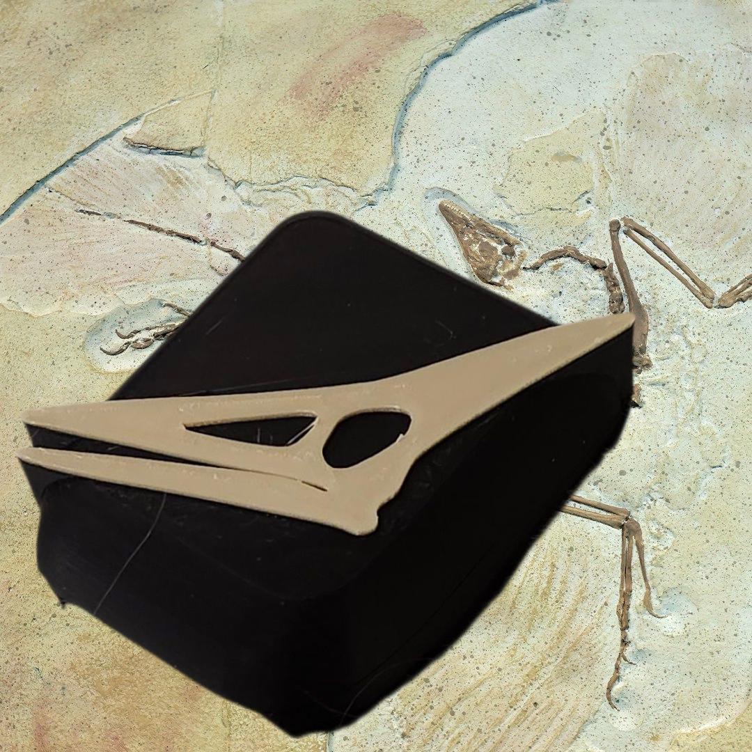 Dinosaur Fossil Cover compatible with Omnipod