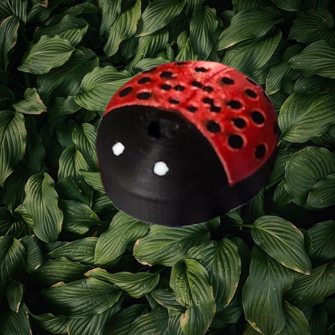 Nature: Ladybug CGM Cover compatible with Dexcom G7, Libre 2/2+, 3/3+ or Stelo