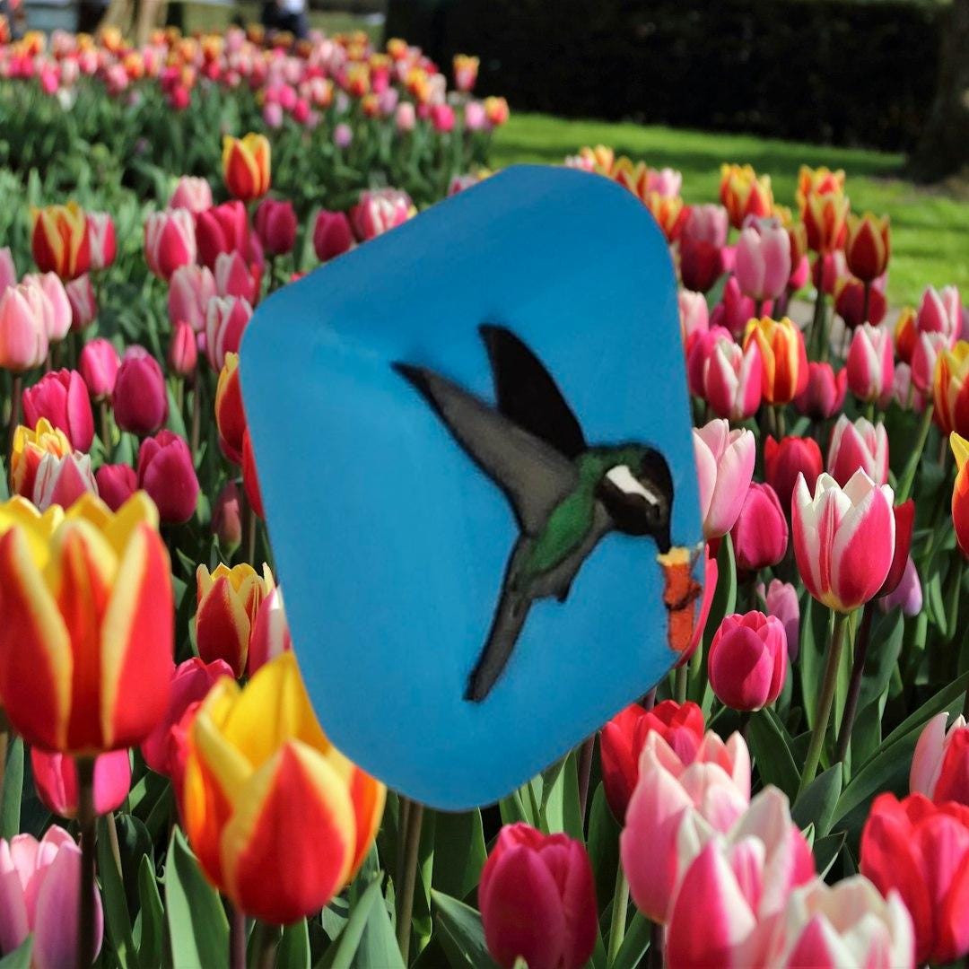 Hummingbird Cover compatible with Omnipod