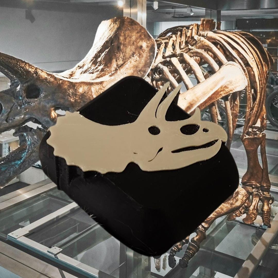 Dinosaur Fossil Cover compatible with Omnipod
