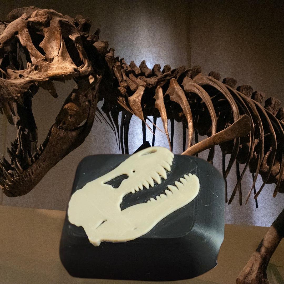Dinosaur Fossil Cover compatible with Omnipod