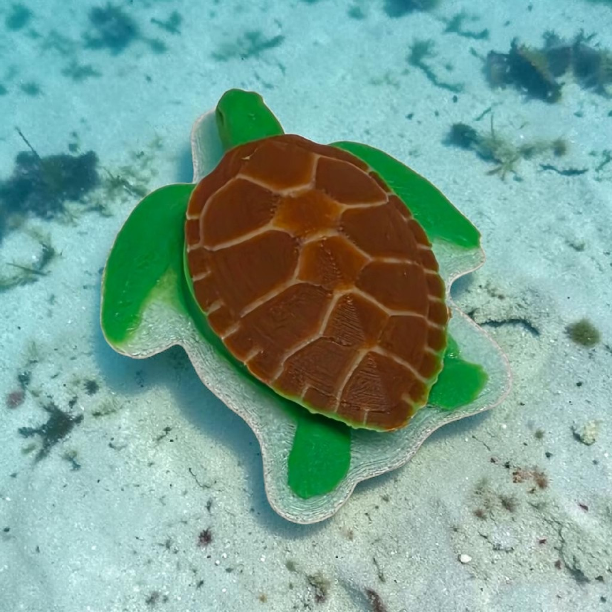 Sea Turtle Dexcom G7 Device Cover